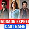 Madgaon Express cast